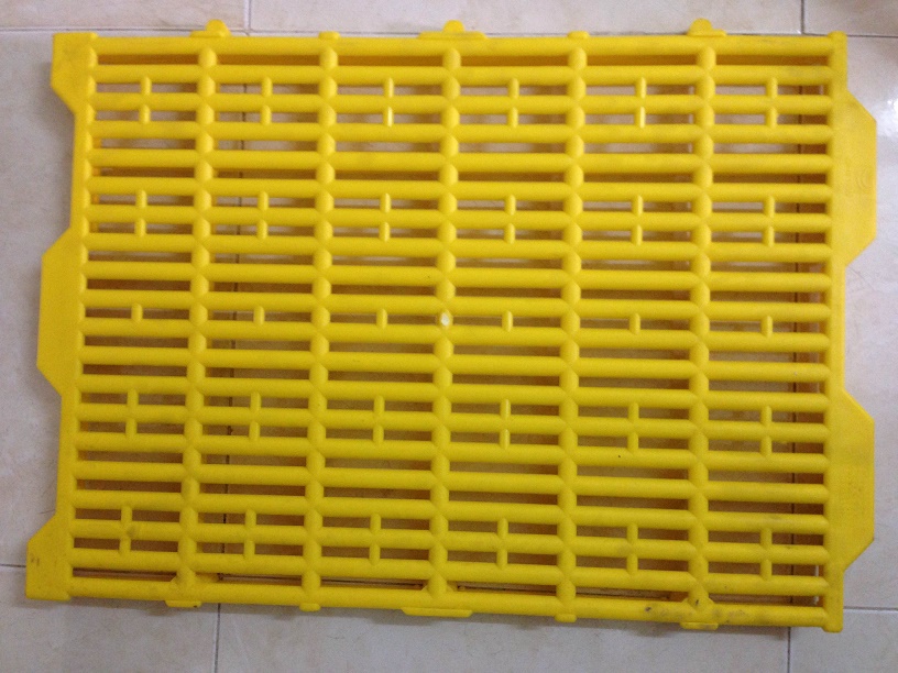 Sàn heo( sàn lợn) giá rẻ bán lẻ như giá sỉ